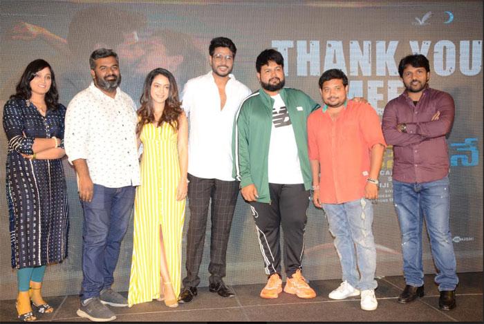 Ninu Veedani Needanu Nene Movie Thanks Meet Highlights