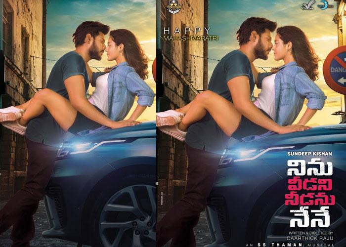 Ninu Veedani Needanu Nene Second Look released