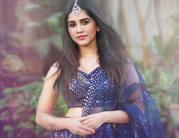 No Importance to Nabha Natesh Role in Disco Raja