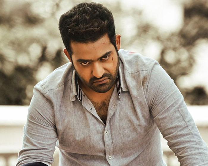 NTR's Political Campaigning!