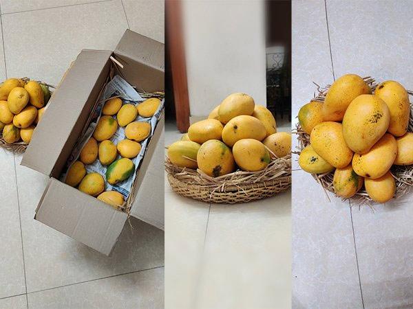 Pawan Send Mangoes For Venu Sriram