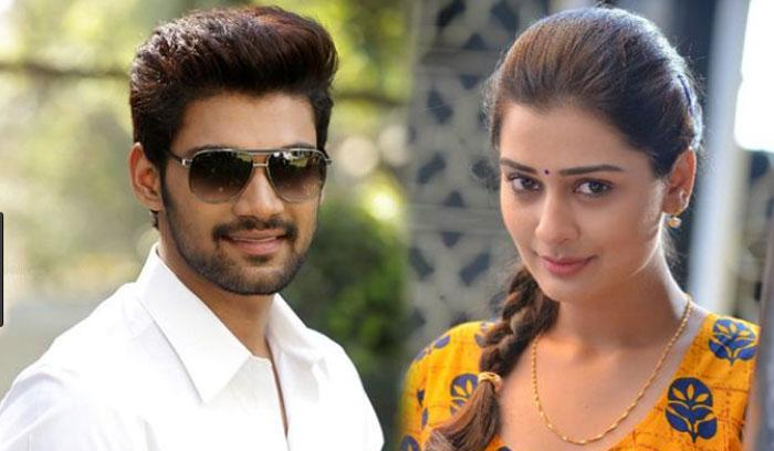 Payal Rajput in Bellamkonda Srinivas Film
