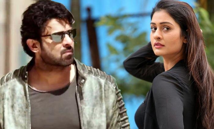 Payal rajput interesting Comments Hero Prabhas