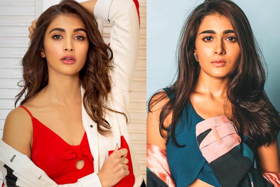 Pooja Hegde and Shalini Pandey Look alike