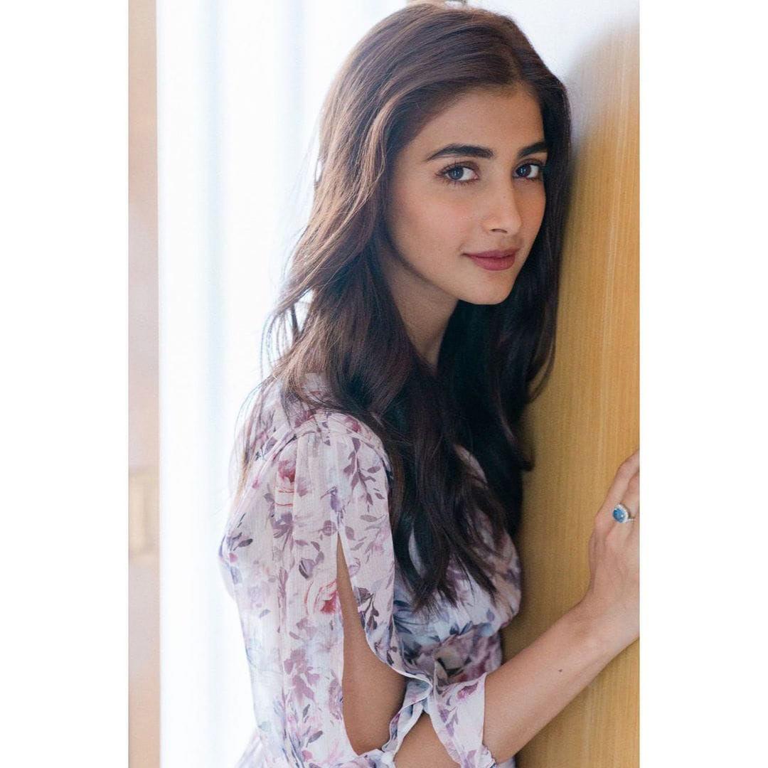 Pooja Hegde has worked in Tollywood
