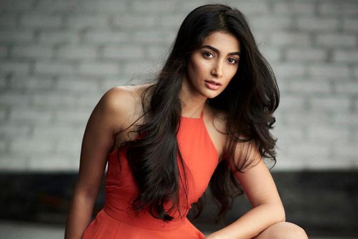 Pooja Hegde refuses to endorse weight loss pills