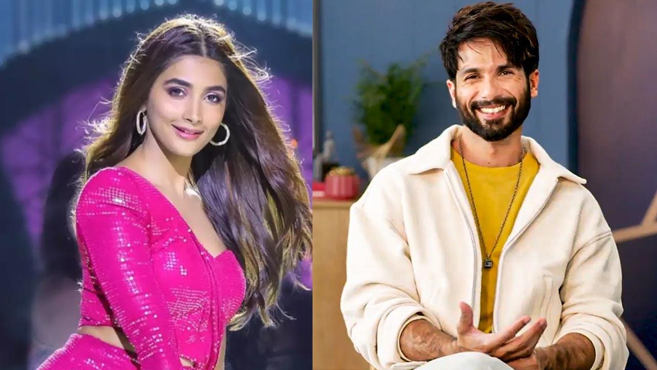 Pooja Hegde To Romance Shahid Kapoor 