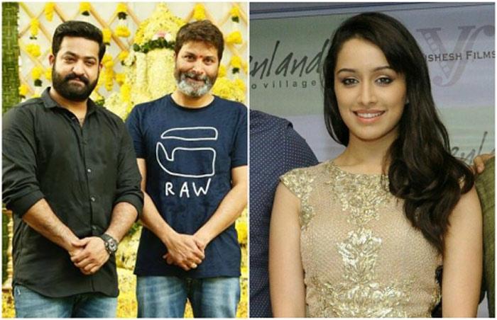 Prabhas Heroine for Jr NTR and Trivikram