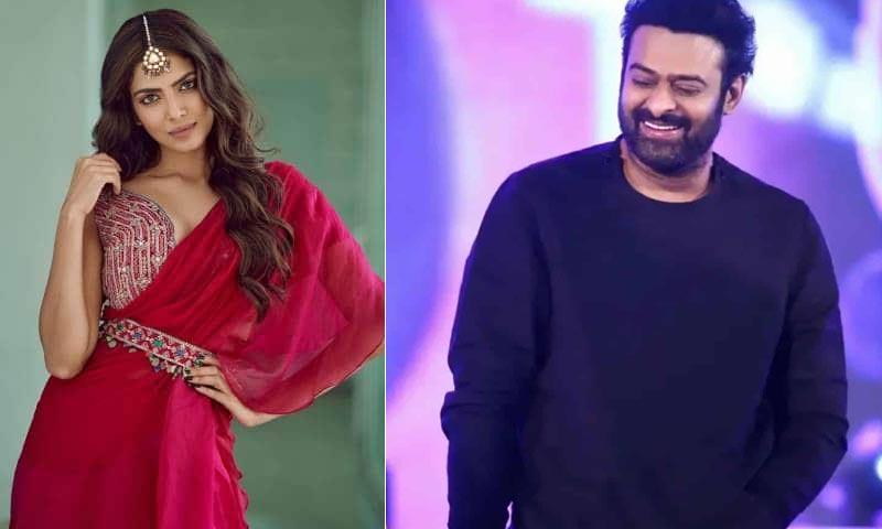 Prabhas Raja Deluxe New Update