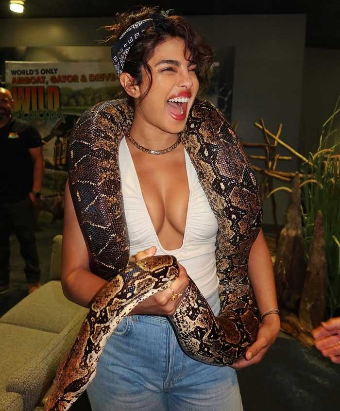 Priyanka Chopra poses with a snake around her Neck
