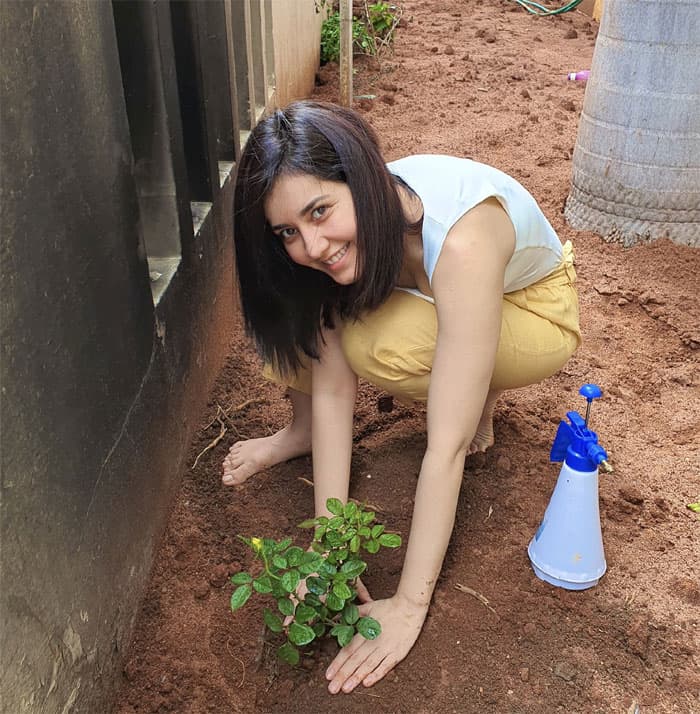 Raashi Khanna Accepts Rashmika Challenge