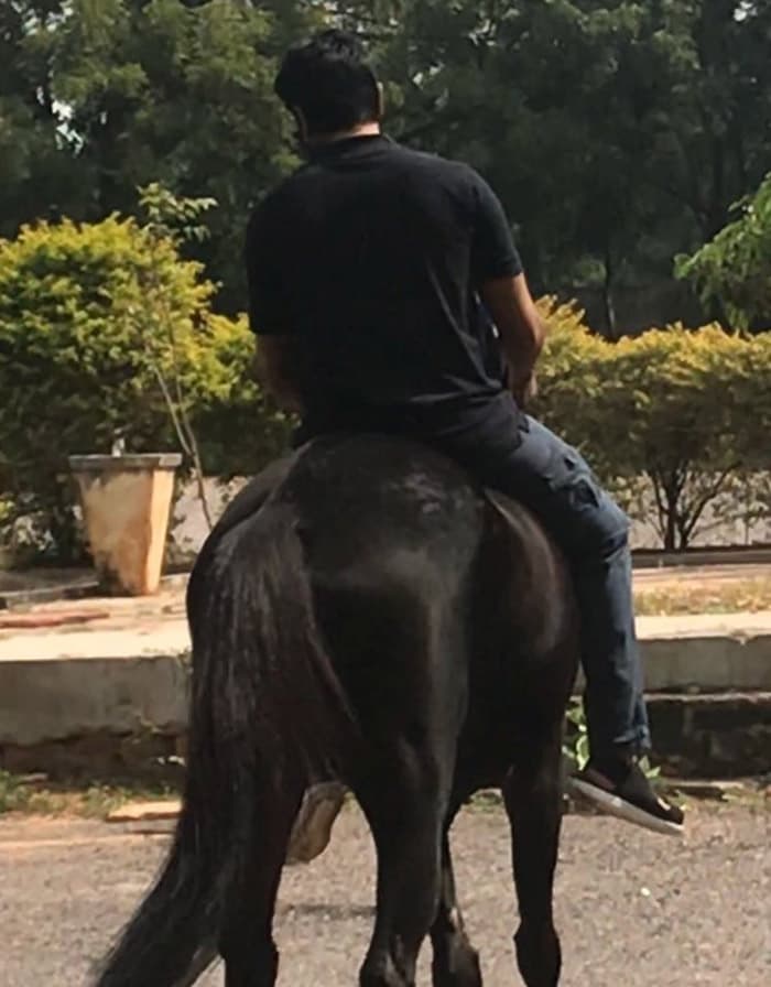 Ramcharan With Magadheera Horse