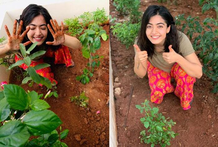 Rashmika Mandanna Participates Green India Challenge