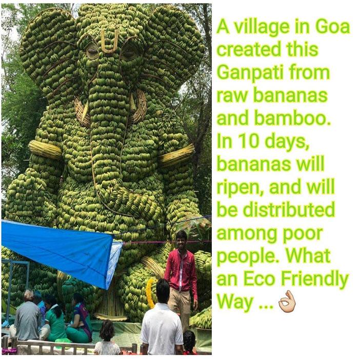 Raw Bananas and Bamboo Ganpati A Village in Goa