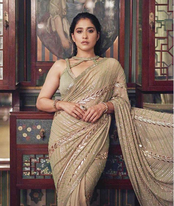 Regina is not Part of Chatrapati remake