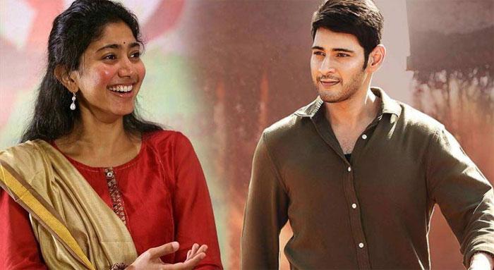 Sai Pallavi in Mahesh and Anil Ravipudi Film