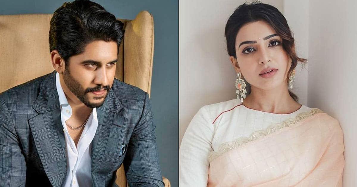 Samantha And Naga Chaitanya Divorce Reasons