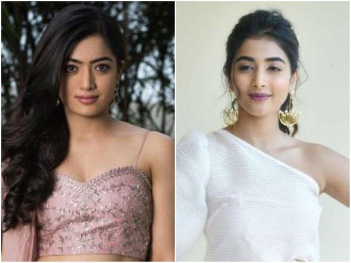 Sankranthi Fight Pooja Hegde Dominates Rashmika