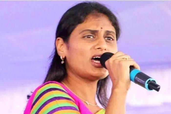 Sharmila About Pawan Kalyan and Janasena