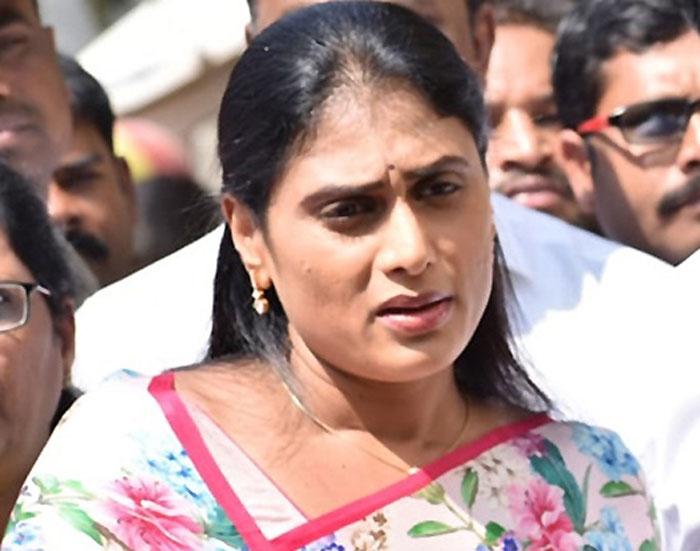 Sharmila Fires on Balakrishna