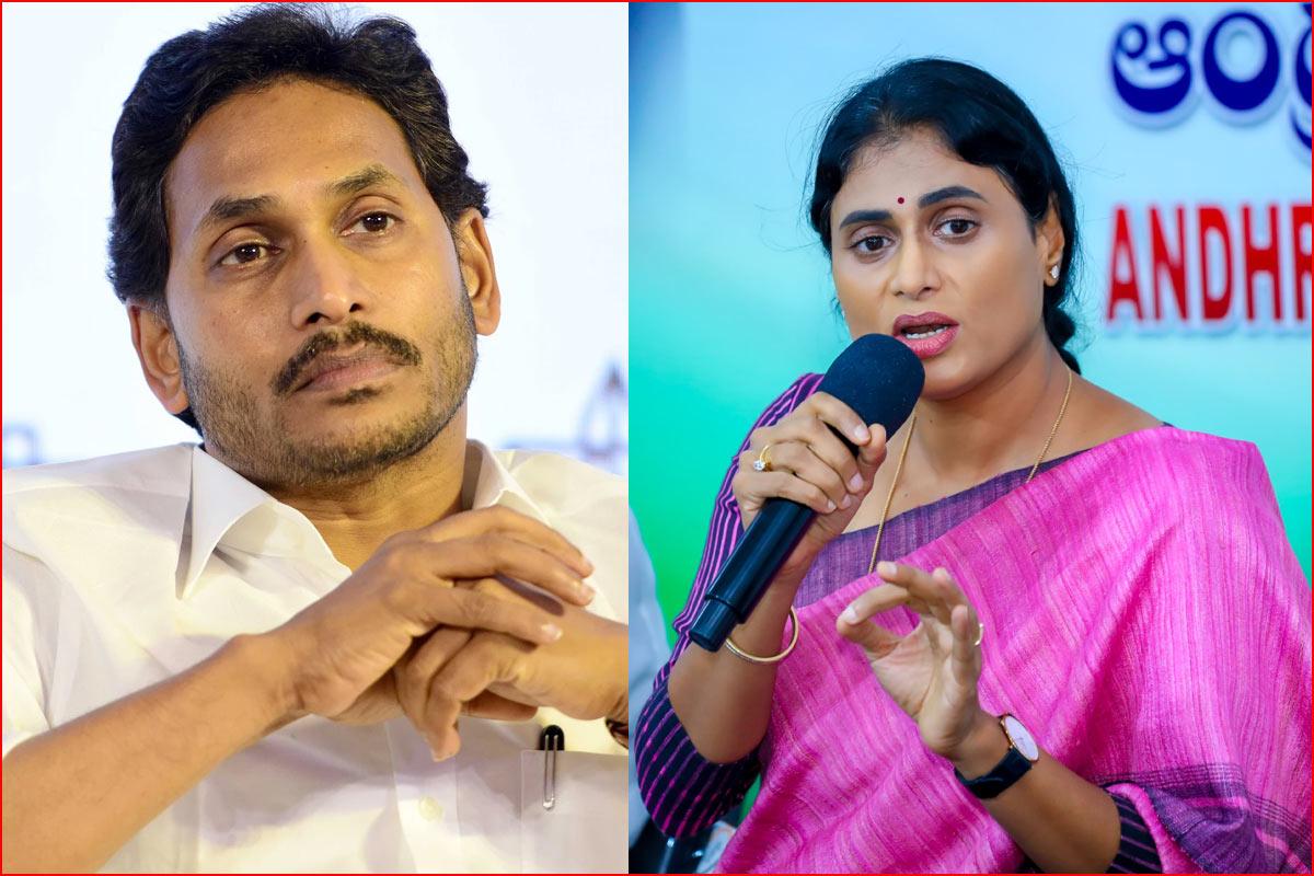 Sharmila sensational comments on YS Jagan
