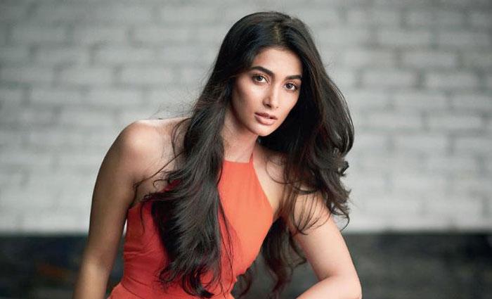 Shocking Remuneration to Pooja Hegde for Valmiki