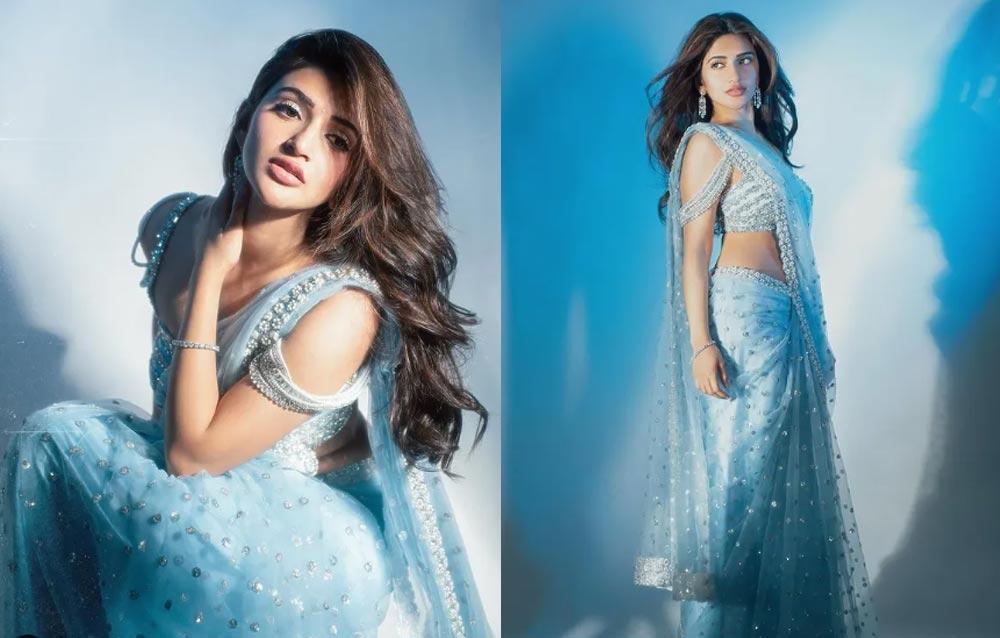 Sreeleela bags Dostana 2?