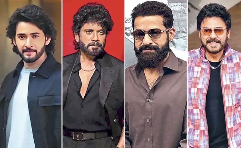Tollywood Star Heroes Busy Schedule