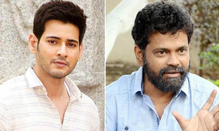 Sukumar and Mahesh Babu Movie Project Updates
