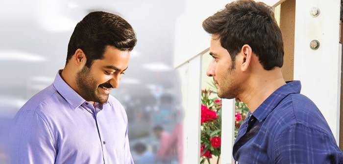 Super Star Mahesh Babu in Jr NTR Route