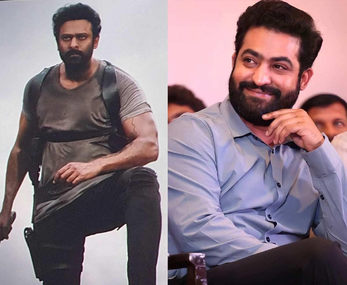 Tarak fans in happy mode 