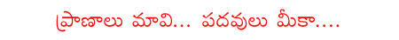 CineJosh news