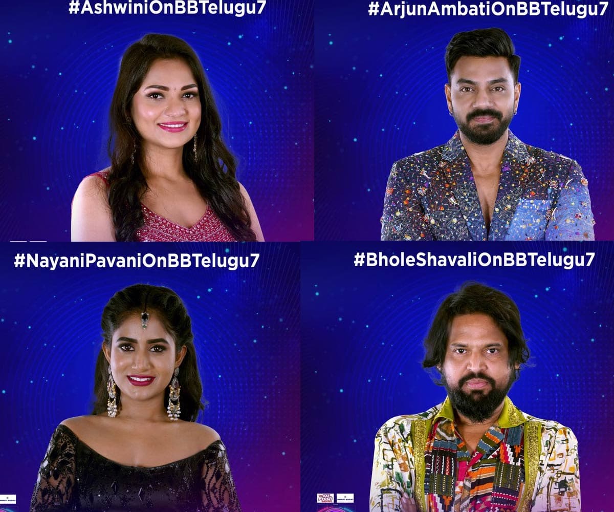 Those five wild card entry in Bigg Boss 7