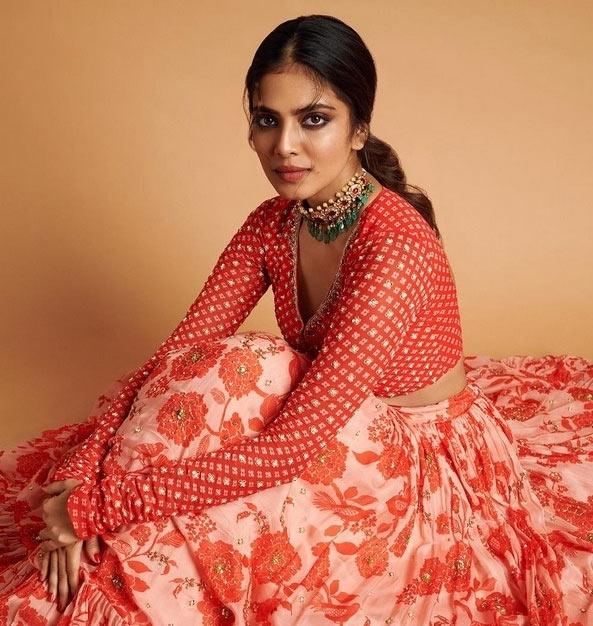Tollywood star heroes approach Malavika Mohanan?