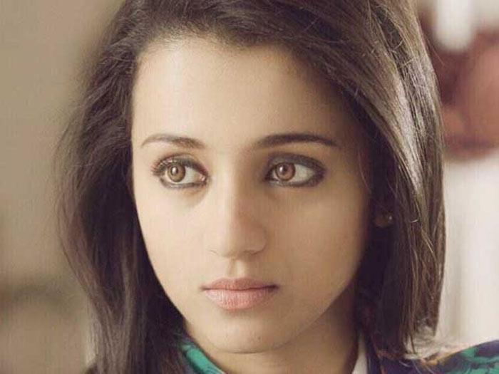 Trisha Out From Vikram and Hari Saami 2