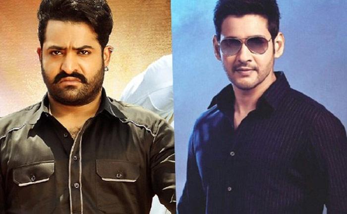 Twitter War Between NTR-Mahesh Fans Over Likes