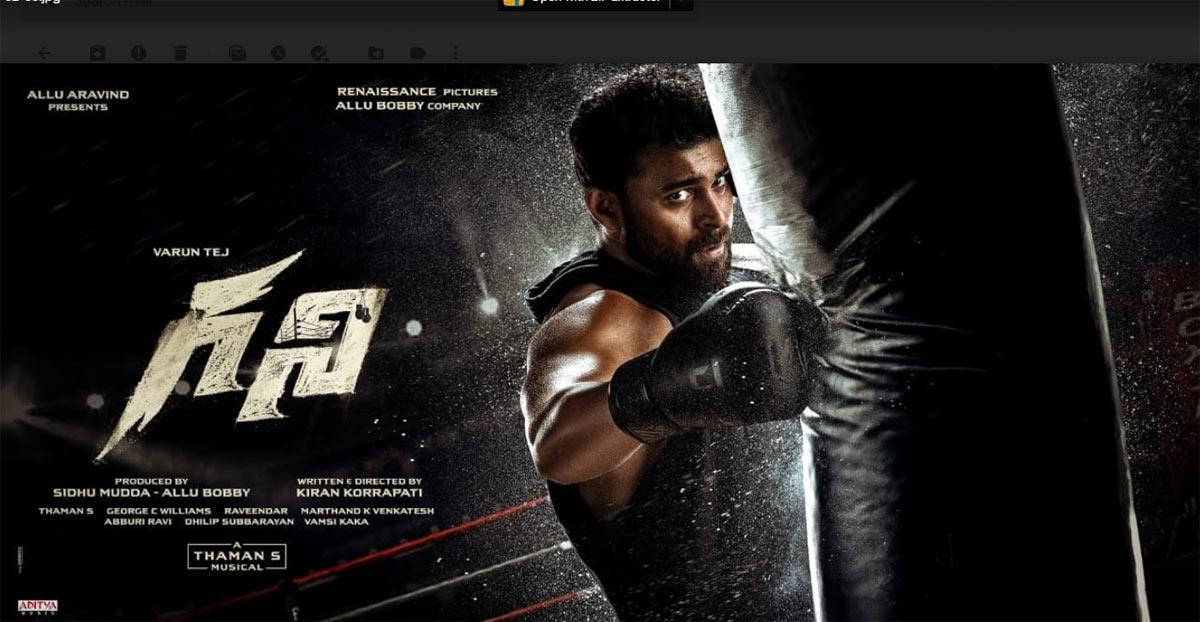 Varun Gani looks like a Boxer
