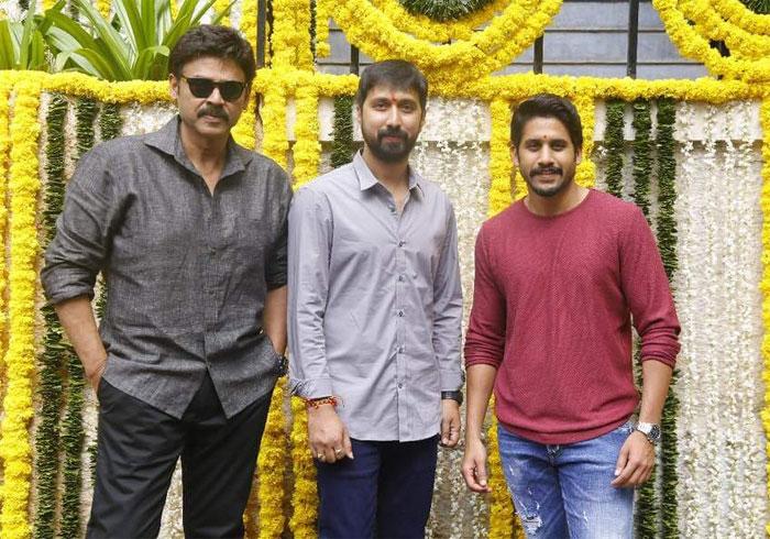 Venkatesh and Naga Chaitanya Multi Starrer Movie Started