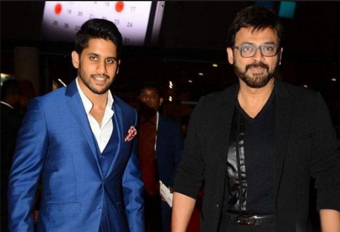 Venkatesh, Naga Chaitanya Multi Starrer on Cards