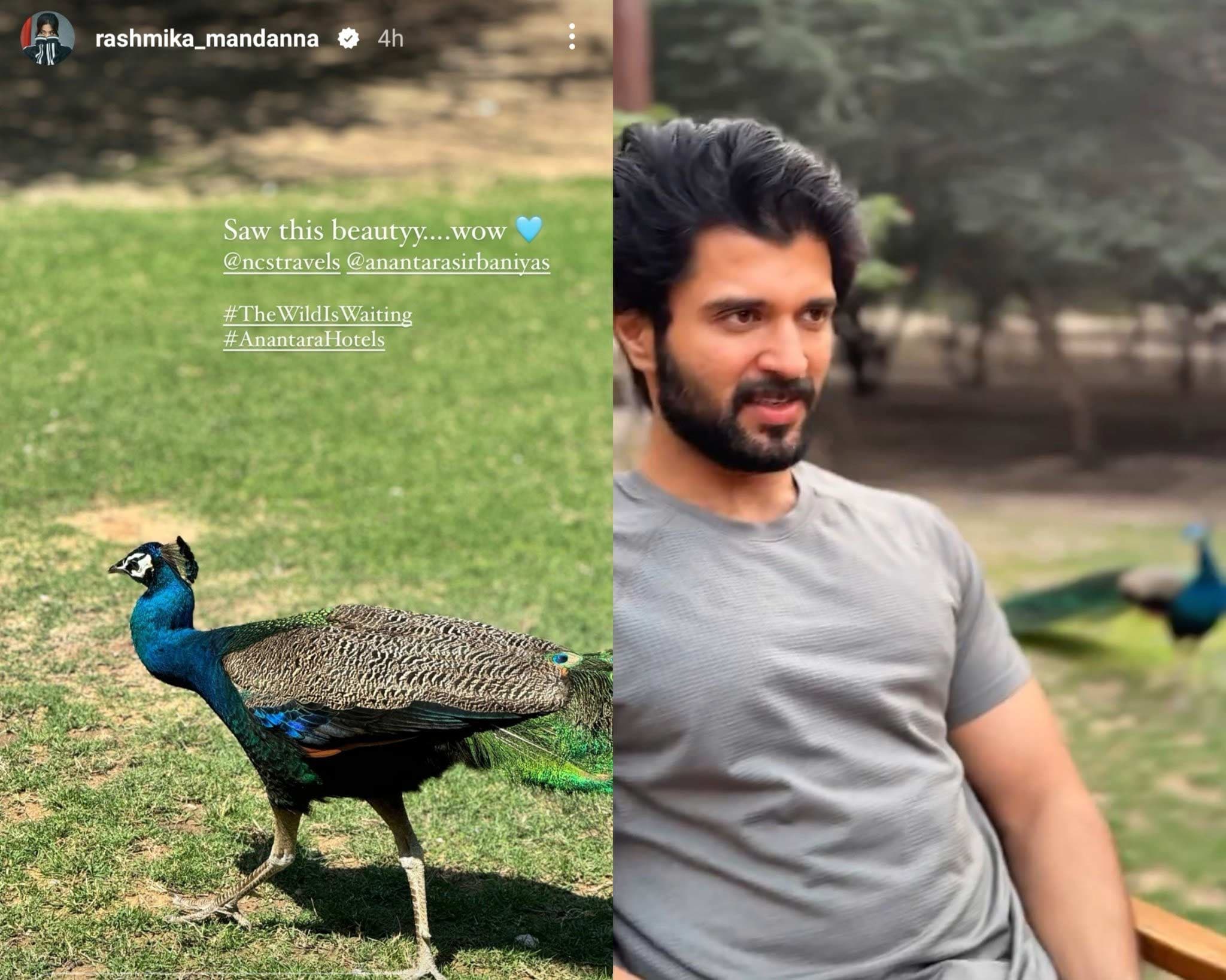 Vijay Devarakonda to celebrate Rashmika B-Day in Dubai