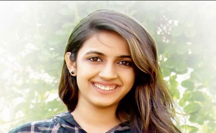 What Does Niharika Say about Mega Heroes?