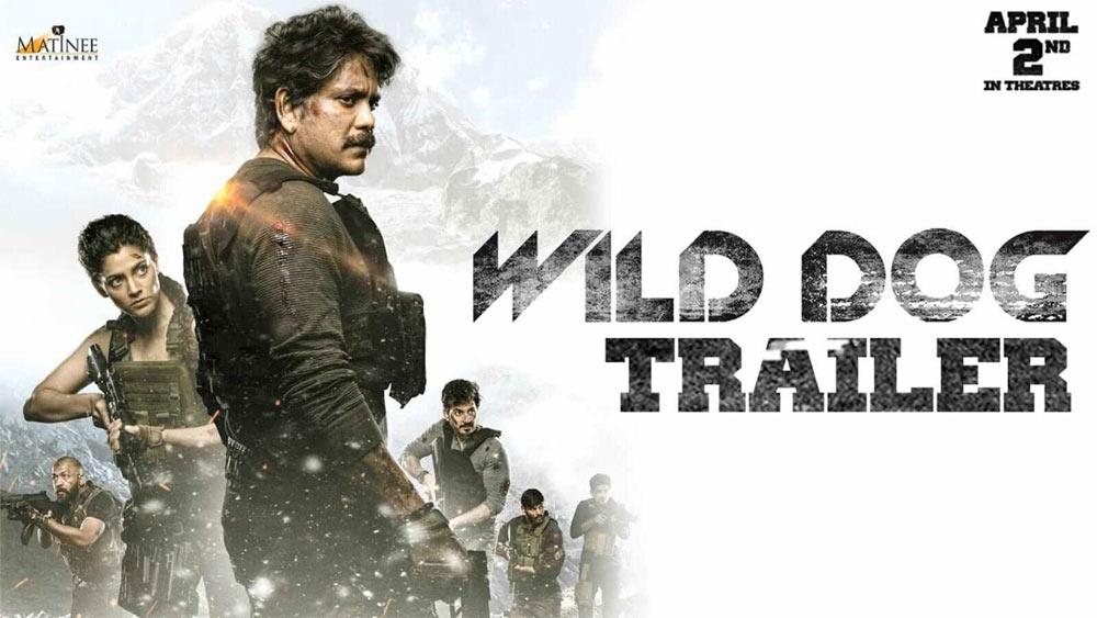 Wild Dog Mind Blowing Promotions
