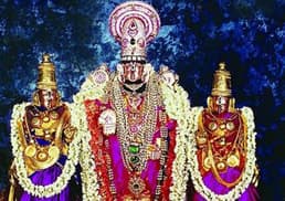 HC seeks details of Lord Venkateswara's assets