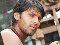 Arya's rising popularity