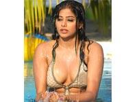 Priyamani becomes a hotshot