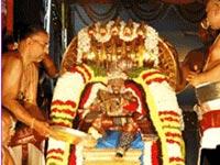 Peda Sesha Vahana seva for Goddess Padmavathi