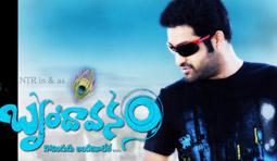 Brindavanam Movie Review (First on Net)