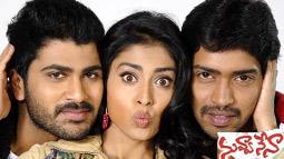 Nuvva Nena Review