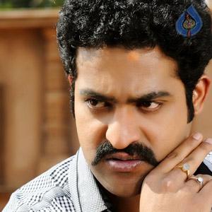 Why Such Craze for 'Dammu'?