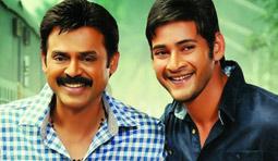 Venky Setting a New MS Trend